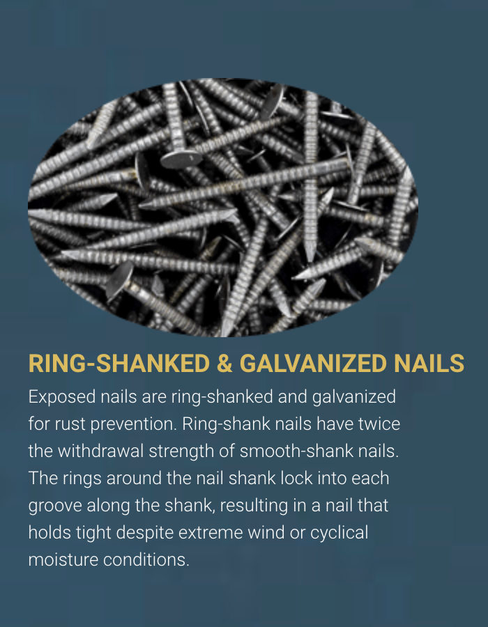 Ring Shanked and Galvanized Nails